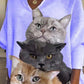 Ženy volné roztomilé kočky grafické tisk v krku s dlouhým rukávem top